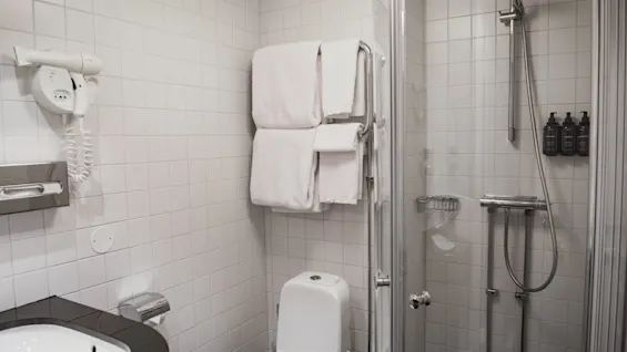 Et rent og funktionelt badeværelse på Home Hotel Wellington, med håndvask, toilet og bruser med friske håndklæder.