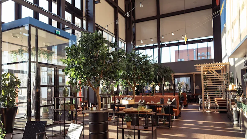Spacious cafe with indoor trees, black chairs, and tables arranged in a sunlit area with large windows and high ceilings.