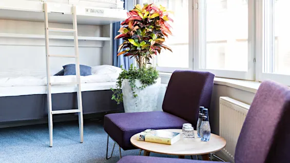 Køjeseng med stige ved siden af en stor plantekrukke, placeret nær et vindue. To lilla stole og et træbord med flasker og en bog i forgrunden.
