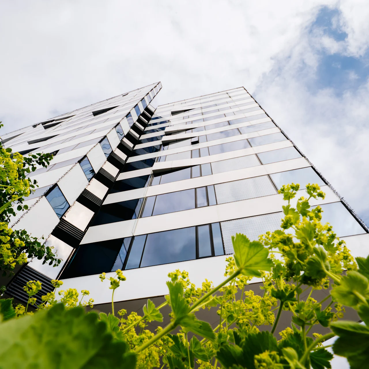 Bygningen er høj og moderne med reflekterende vinduer og rækker op mod en skyet himmel. Grønne planter med gule blomster er i forgrunden og skaber kontrast.