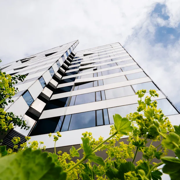 A tall, modern building with reflective windows reaches towards a cloudy sky. Green plants with yellow flowers are in the foreground, creating a contrast.