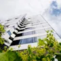 A tall, modern building with reflective windows reaches towards a cloudy sky. Green plants with yellow flowers are in the foreground, creating a contrast.