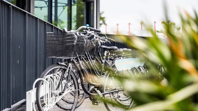 A row of bicycles parked in racks outside the building, ready for guest use. Green plants provide a fresh framing of the image.