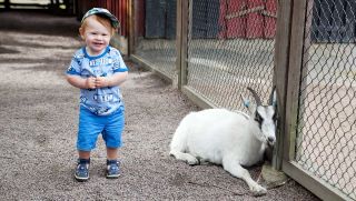 Ett barn på Barnens Zoo, Slottsparken, Göteborg. Foto: Beatrice Törnros/Göteborg&co