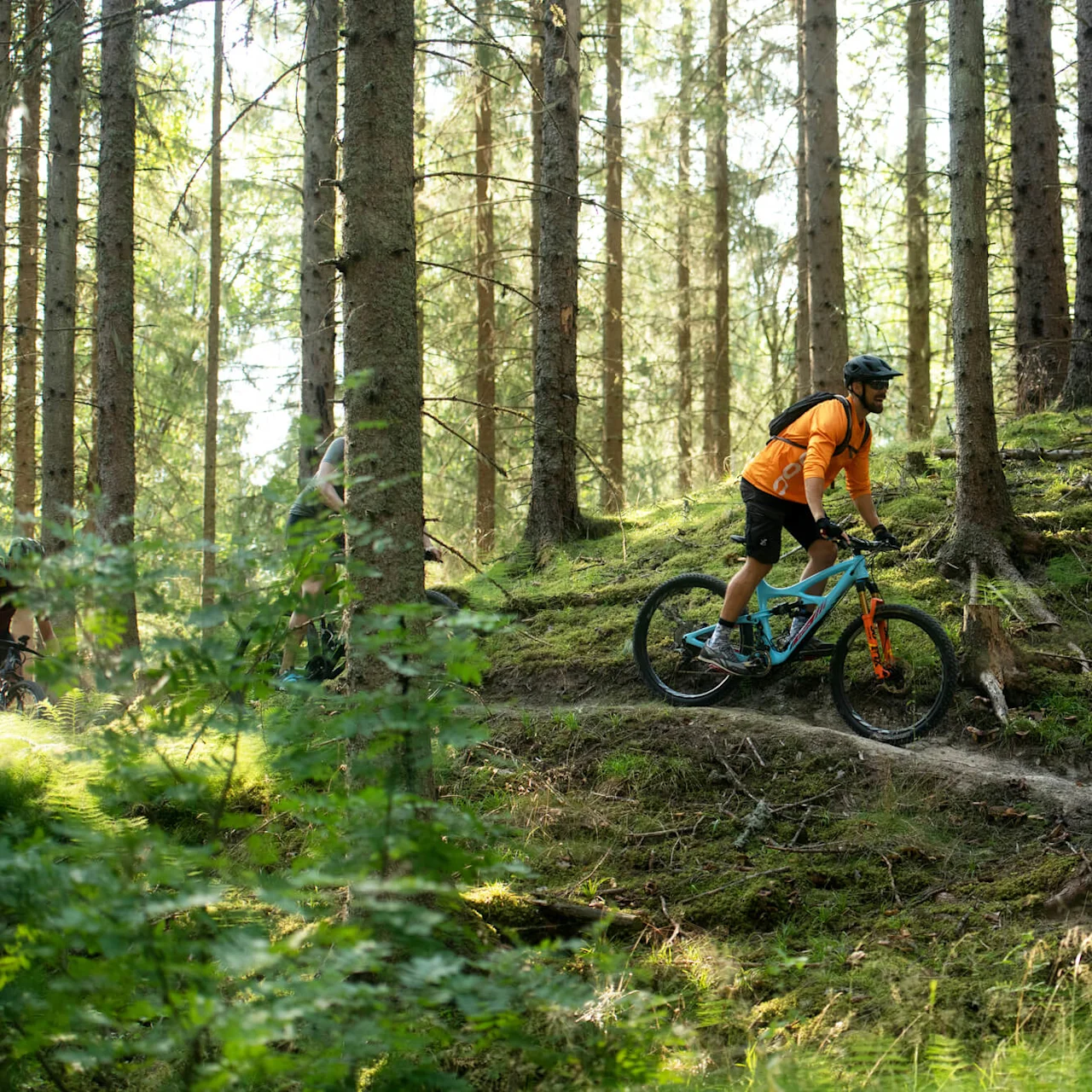 En syklist kjører terrengsykkel gjennom en solbelyst skog, på en smal sti mellom høye trær.