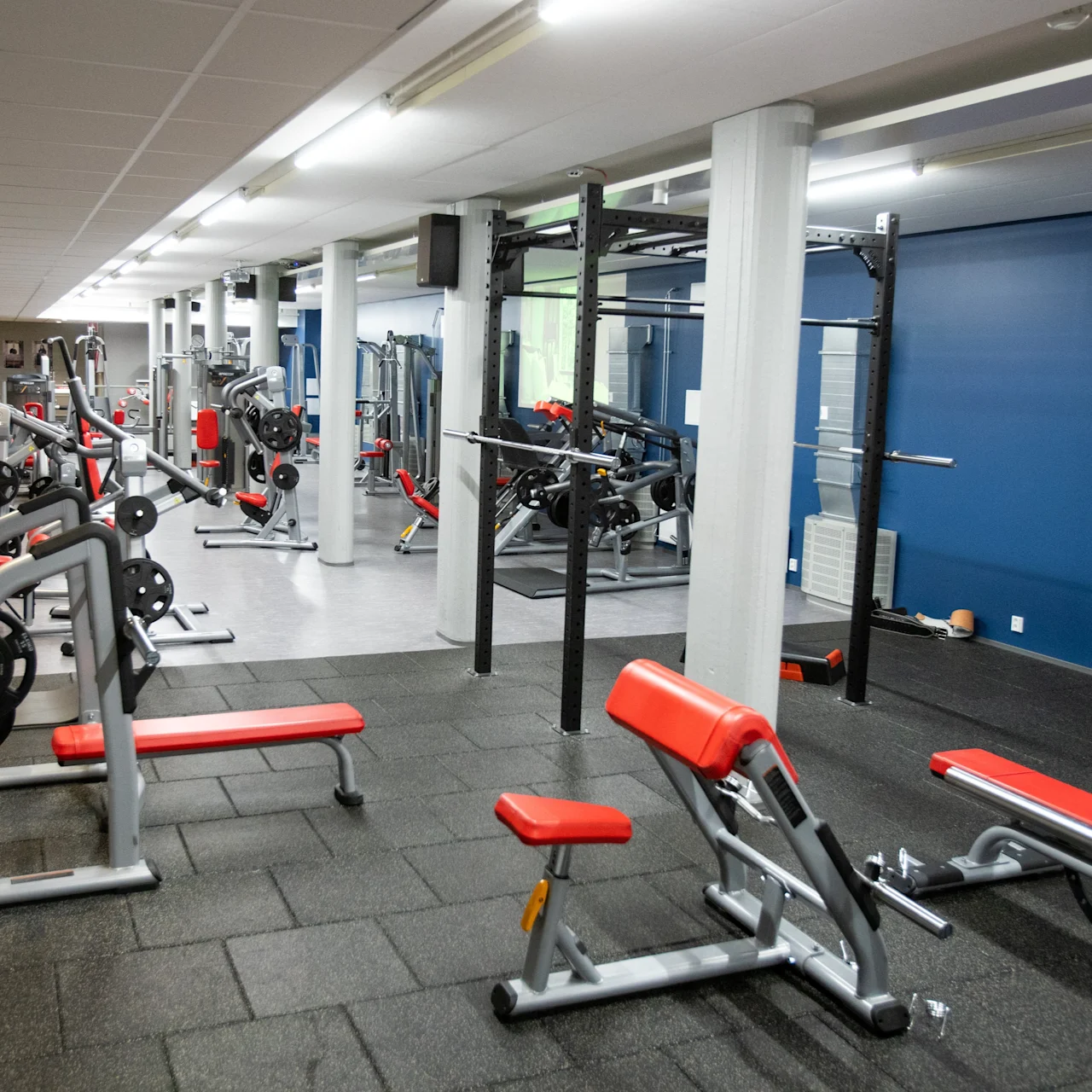 Gym equipment, including benches and weights, is neatly organized for workout use in a spacious, well-lit fitness center with blue walls and a clean, orderly layout.