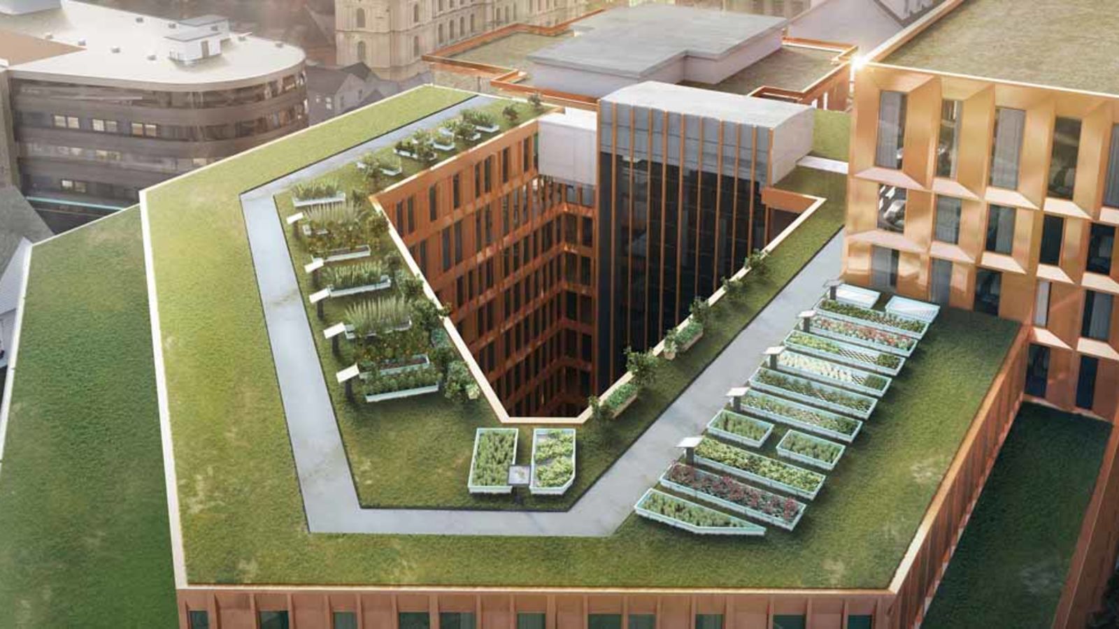 urban-garden-grow-hub-clarion-hotel-the-hub.jpg
