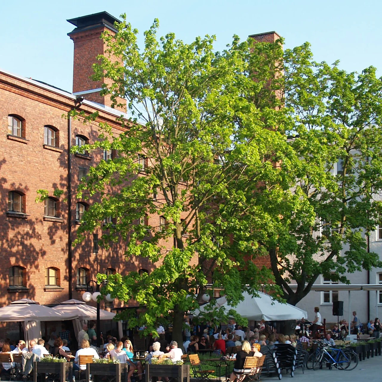 People dining outdoors near a large tree, with brick buildings in the background, on a sunny day.