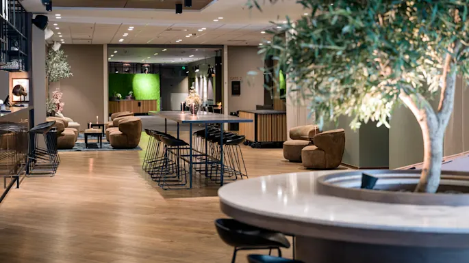 Modern och inbjudande hotellobby med trägolv, mysiga sittplatser och gröna växter.