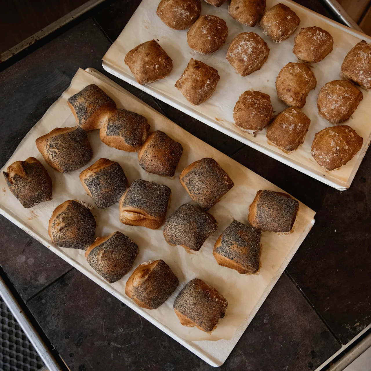 Färska brödbullar svalnar på två brickor, en med vanliga bullar och den andra toppad med frön, i en köksmiljö med kaklad vägg.