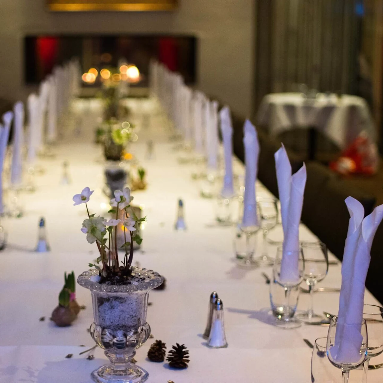 Elegantly set dining table with folded napkins and glassware, a cozy fireplace in the background.