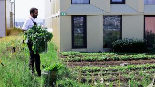 rooftop-garden-clarion-hotel-the-hub_16_9