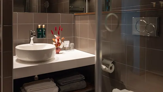 En rund vit handfat sitter på en bänkskiva med prydligt placerade toalettartiklar och röda blommor. Bruna kaklade väggar omger den, reflekteras i en stor spegel ovanför handfatet.