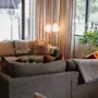 A cozy lounge area with comfortable sofas, warm blankets, and soft lighting, looking out onto a street.