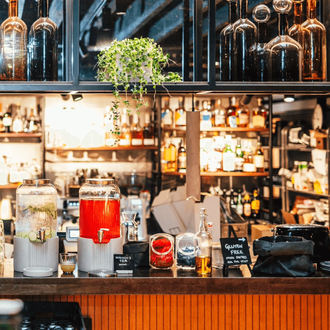 Fire glass drikkebeholder fylt med fargerike drikker og merket "Hibiscus Tea," omgitt av flasker og planter, står på en trebar disk i en velfylt bar.