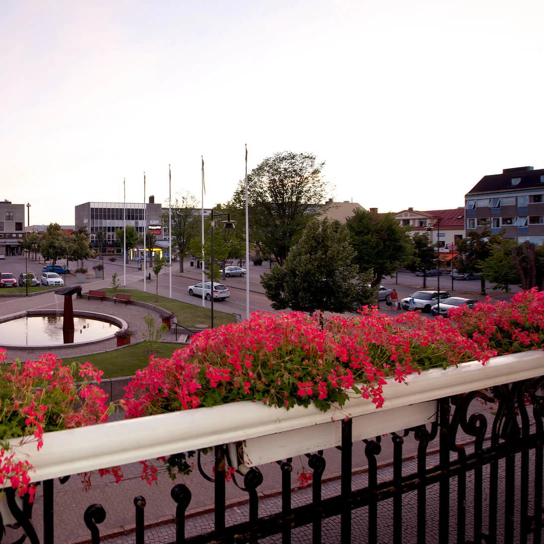 A cityscape at dusk with flowering plants in the foreground, a fountain centered in a square, surrounded by buildings, streets, and parked cars.