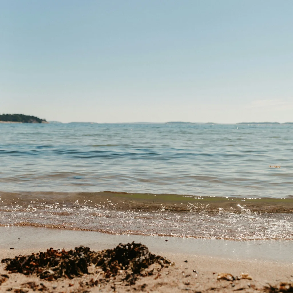 A serene beach scene with gentle waves on the shore and a clear blue sky. Seaweed rests on the sandy beach.