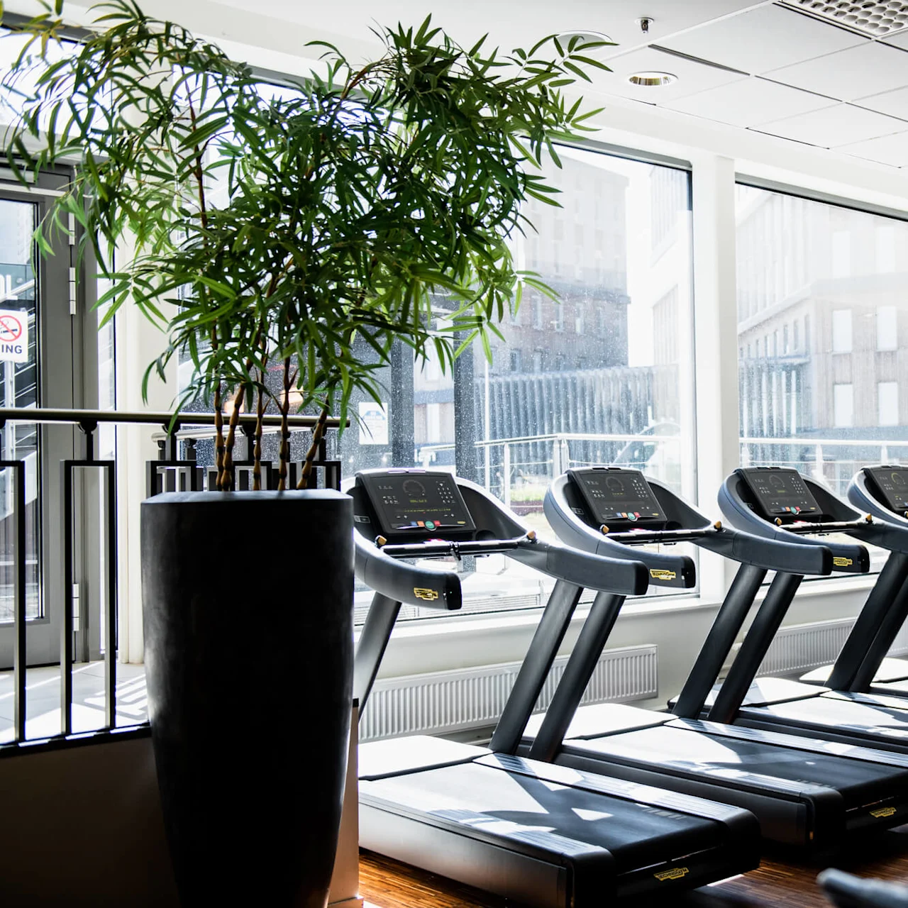 Treadmills positioned in a gym, lit by daylight streaming through large windows. A potted plant decorates the modern exercise area. Signs read: "NO SMOKING."