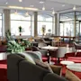 Modern hotel lobby with sofas and chairs arranged around small tables, situated on a plush red carpet. Large windows provide natural light. Potted plants add greenery, creating a welcoming atmosphere.