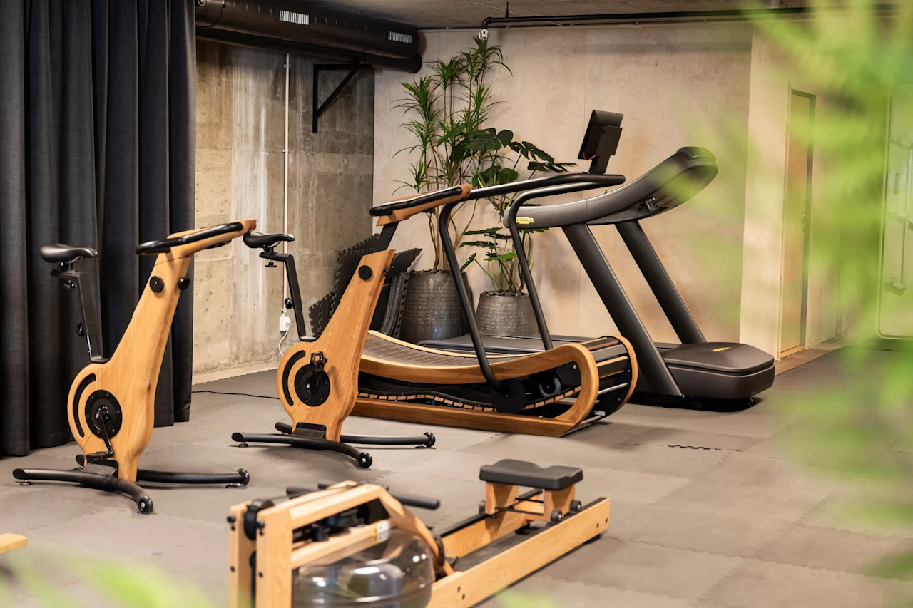 Träningsutrustning är uppställd i ett modernt gym med trästationära cyklar, ett modernt löpband och en roddmaskin. Krukväxter pryder rummet med betongväggar.