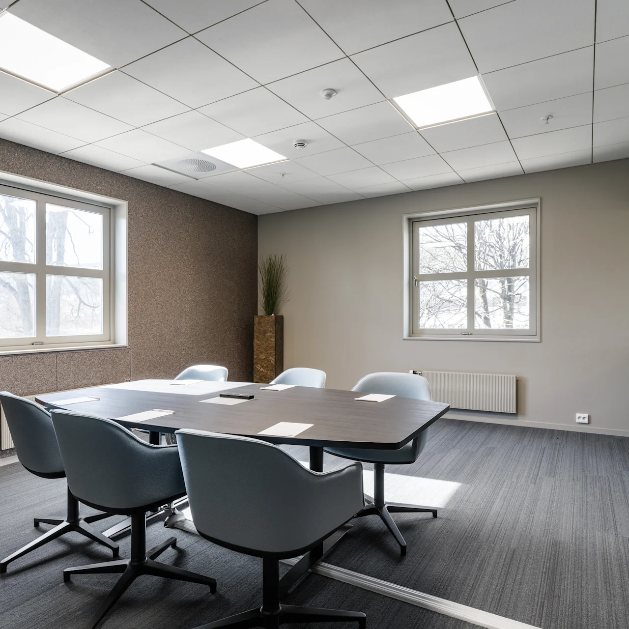 A conference room features a rectangular table surrounded by six chairs; windows to the left and back illuminate the space, with a tall plant in one corner.