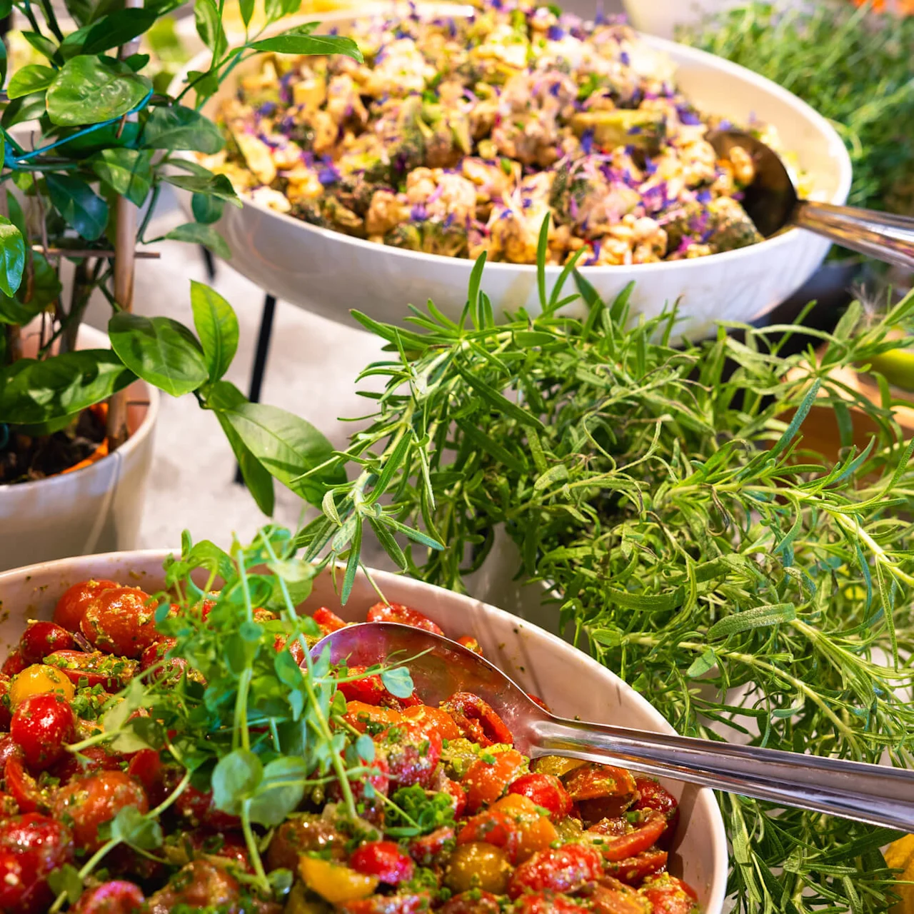 Fargerik salat med cherrytomater og urter i en bolle, omgitt av friske grønne planter, inkludert et sitrustre, i et kjøkkenmiljø.