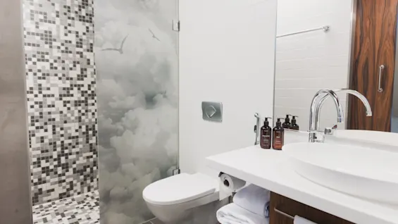 Et moderne badeværelse med en mosaikbruser og et toiletområde adskilt af en glaspanel med et roligt sky- og fuglemotiv.