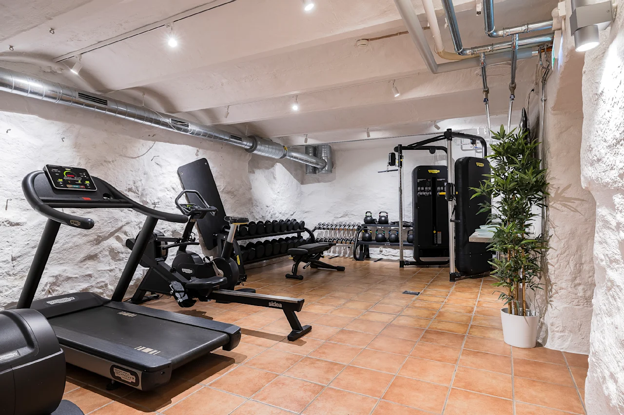 Løbebånd og motionscykel placeret i en kældertræningscenter med sten vægge og loftlamper. Håndvægte og fitnessmaskiner er pænt arrangeret langs det flisebelagte gulv, ved siden af en potteplante.