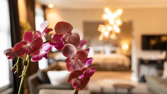 A branch of pink orchids is in sharp focus, set against a blurred, elegant living room with a chandelier and sofa, creating a serene and sophisticated ambiance.