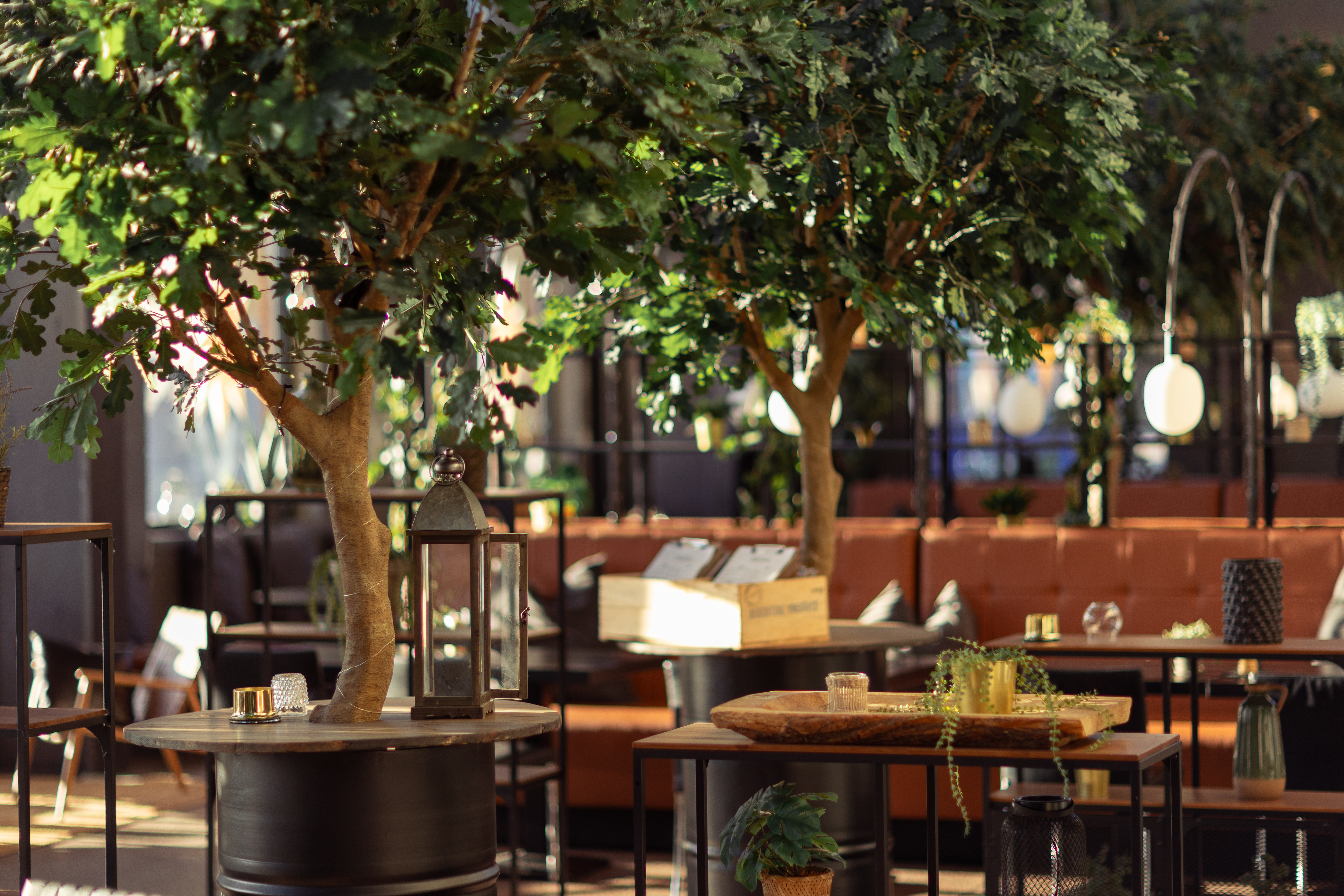 The Social Bar & Bistro
