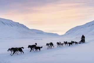 Dogsledding on Svalbard