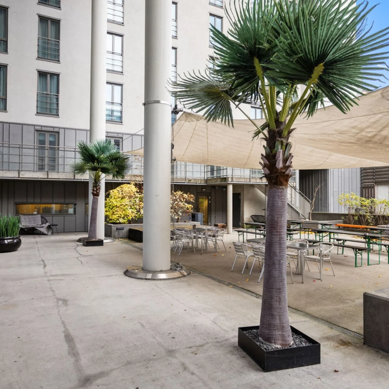 Palm trees, standing in planters, decorate a modern courtyard with concrete flooring and beige shade canopy. Tables and chairs are arranged nearby, surrounded by tall building walls and windows.