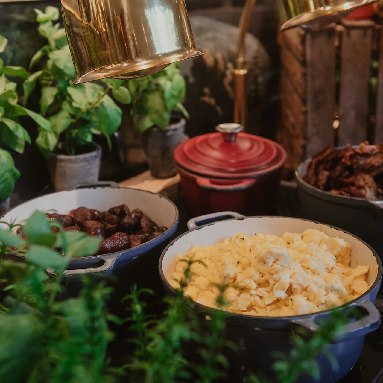 Blå gryder med røræg, frikadeller og bacon på komfur, omgivet af friske potteplanter og en rød gryde i rustik køkkenindretning.