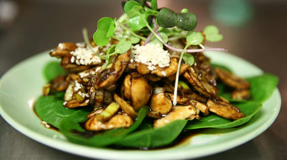 vegetarisk dating en kött ätare