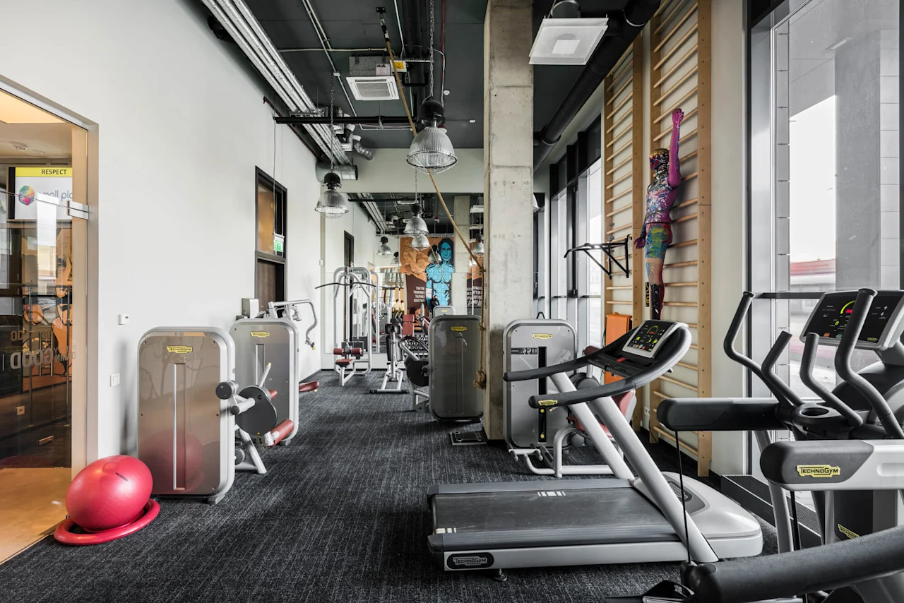 Treadmills and exercise machines line a modern gym with large windows. A colorful mannequin stands against a wall ladder. A pink exercise ball rests nearby. Visible text: "RESPECT".
