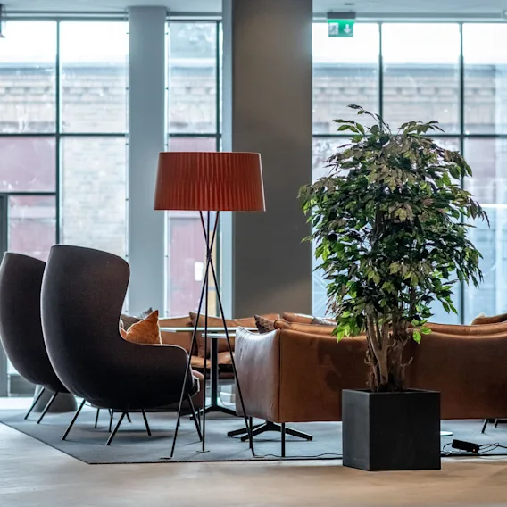 Ett mysigt sittområde med mörka stolar omger ett soffbord. En stor krukväxt och en golvlampa dekorerar utrymmet. Stora fönster visar en tegelvägg.