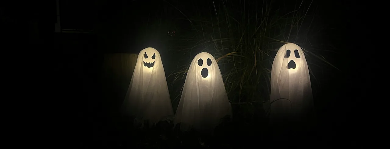 Tre lysende spøgelsesdekorationer med udskårne ansigter står i mørket og skaber en uhyggelig Halloween-stemning.