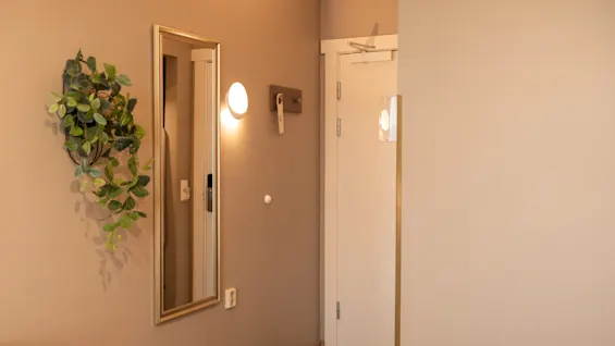 A hallway features a wall mirror beside a green leafy plant, with a glowing wall sconce above. The area includes a closed white door and light beige walls.