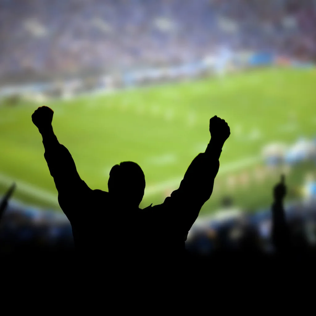 Silhouette of a person raising fists in victory at a blurred sports event.