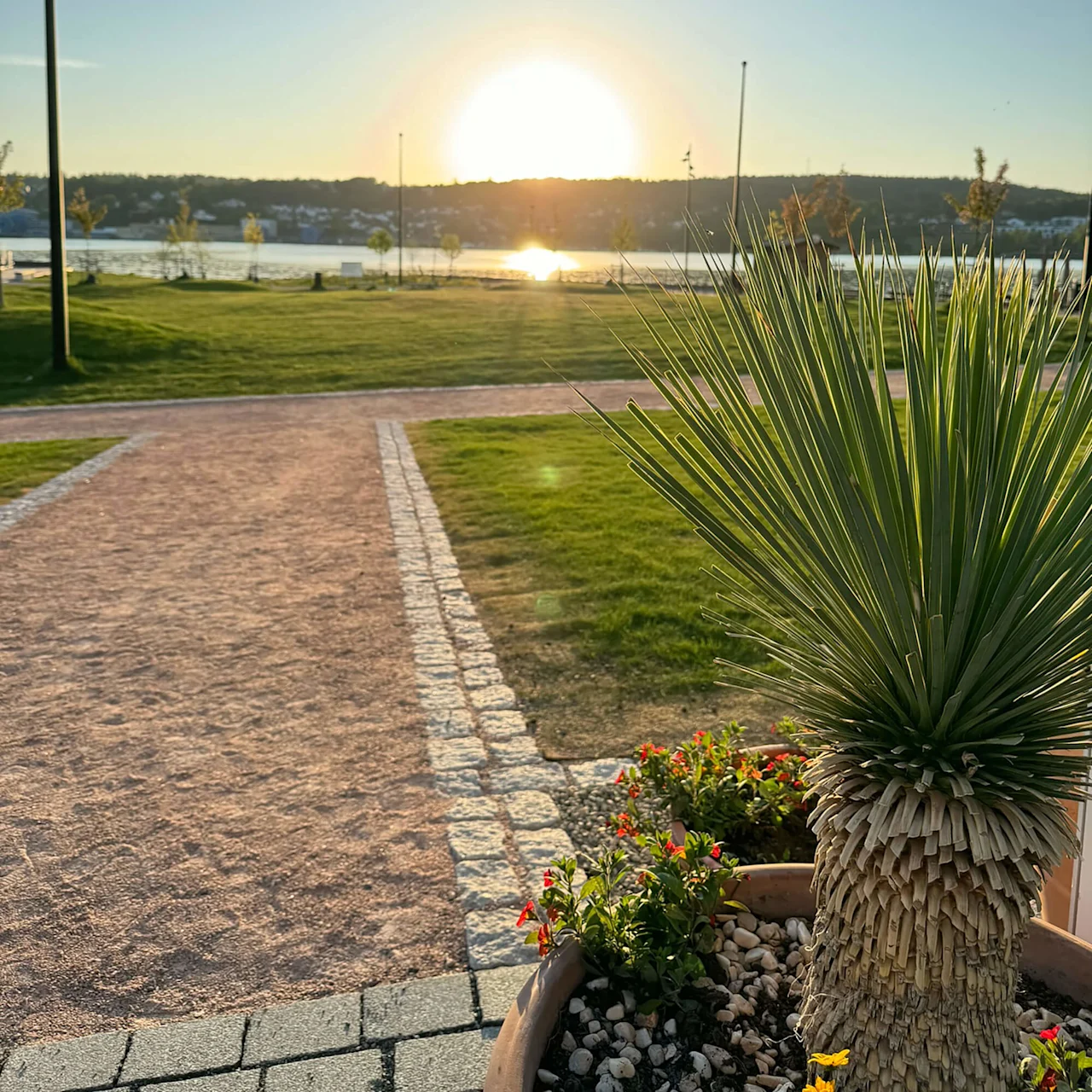 A potted plant stands in the foreground, illuminated by the setting sun over a distant lake. Pathways and grassy areas frame the serene landscape.
