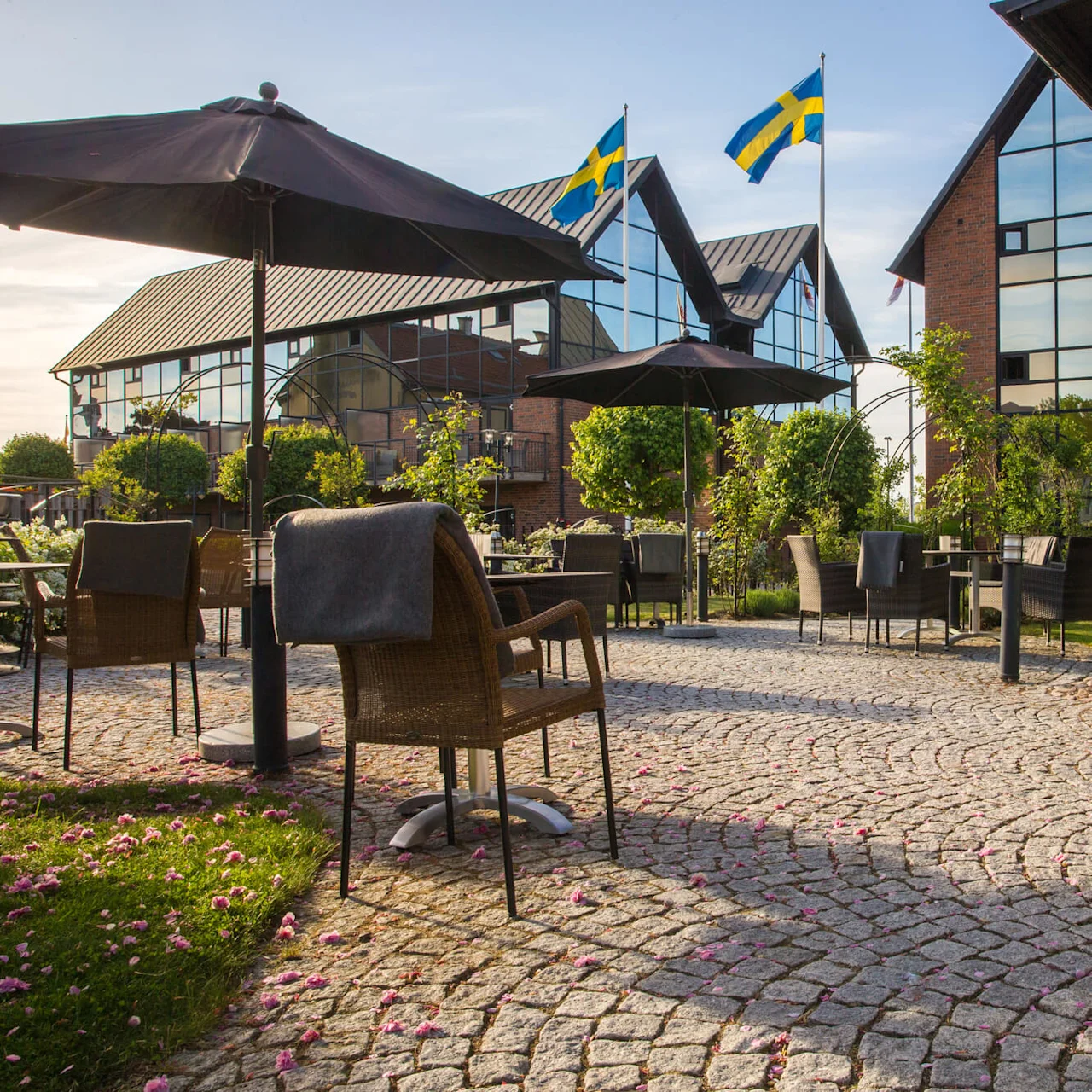 Outdoor seating with umbrellas and chairs on a cobblestone patio, near a building with large windows, under clear skies.