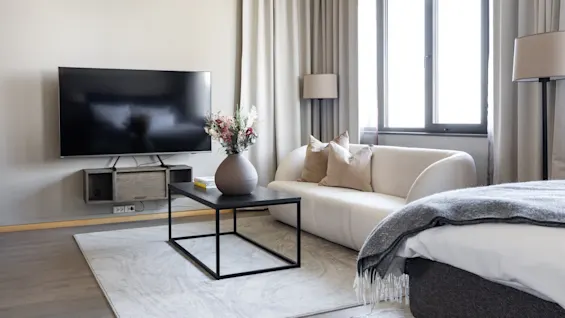 A flat-screen TV sits on a cabinet, facing a beige sofa with pillows. A black coffee table with a vase is centered. Large windows and curtains provide natural light.