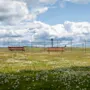 Two red benches sit idle on a grassy field. Barbed wire fence encloses the area, with an airport control tower and airplane visible in the distance under a cloudy sky.