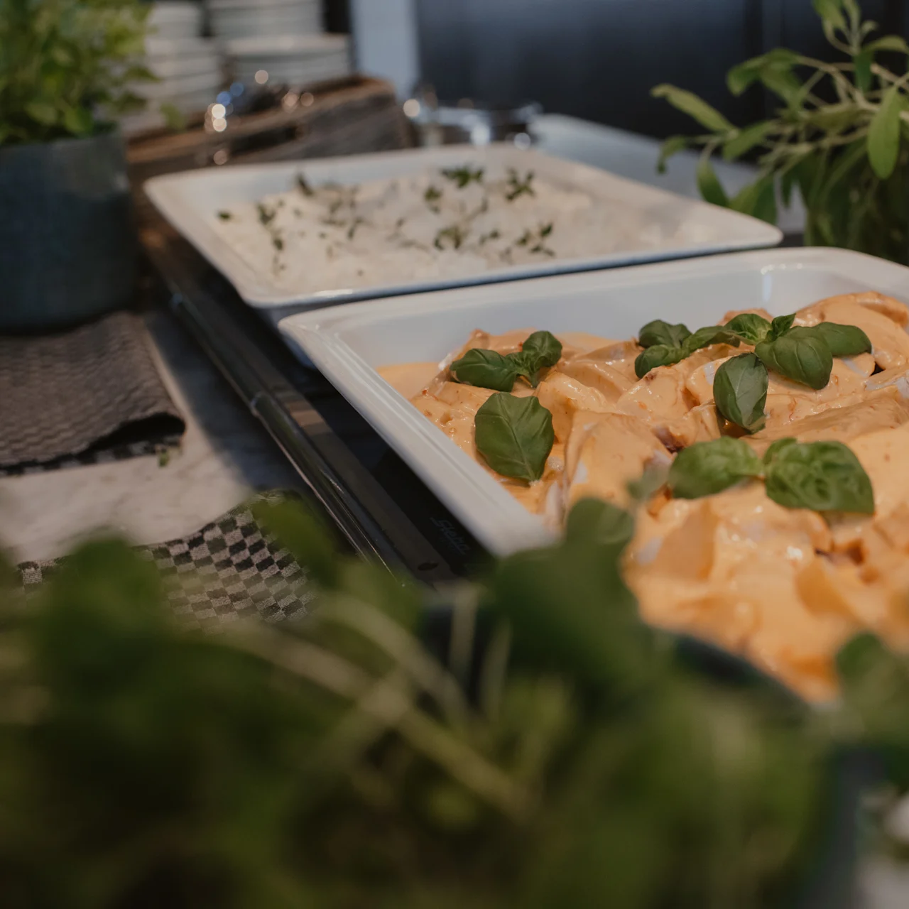 Tallerken med cremet pasta pyntet med grøntsager sidder på en køkkenbord. Omkring er der krydderurter i potter og stofservietter, der skaber en frisk og indbydende måltidsoplevelse.