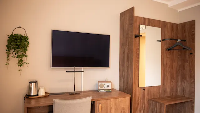 En TV og en dekorativ plante pryder et treskrivebord på et moderne hotellrom. En vannkoker og radio står på skrivebordet, med et veggspeil og kleshengere i nærheten.