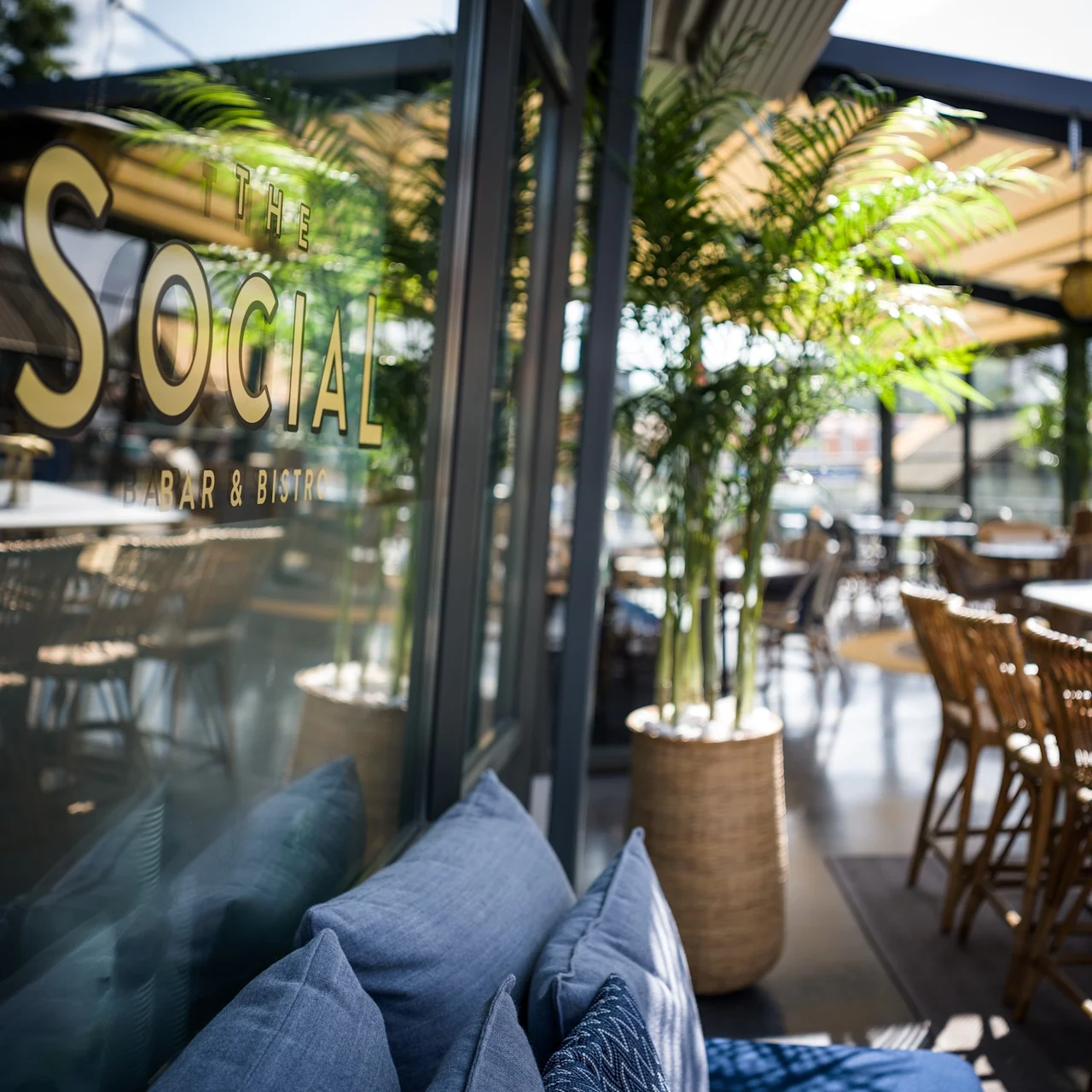 Ett glasfönster med texten "THE SOCIAL BAR & BISTRO" reflekterar en mysig uteservering med trästolar och bord, omgiven av frodiga krukväxter under ett soligt, skuggat tak.