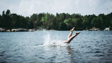 The Summer Flee - swim in a lake