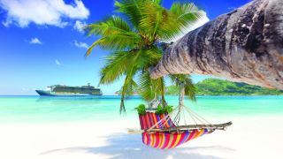 Hengekøye i palme på strand i Karibien
