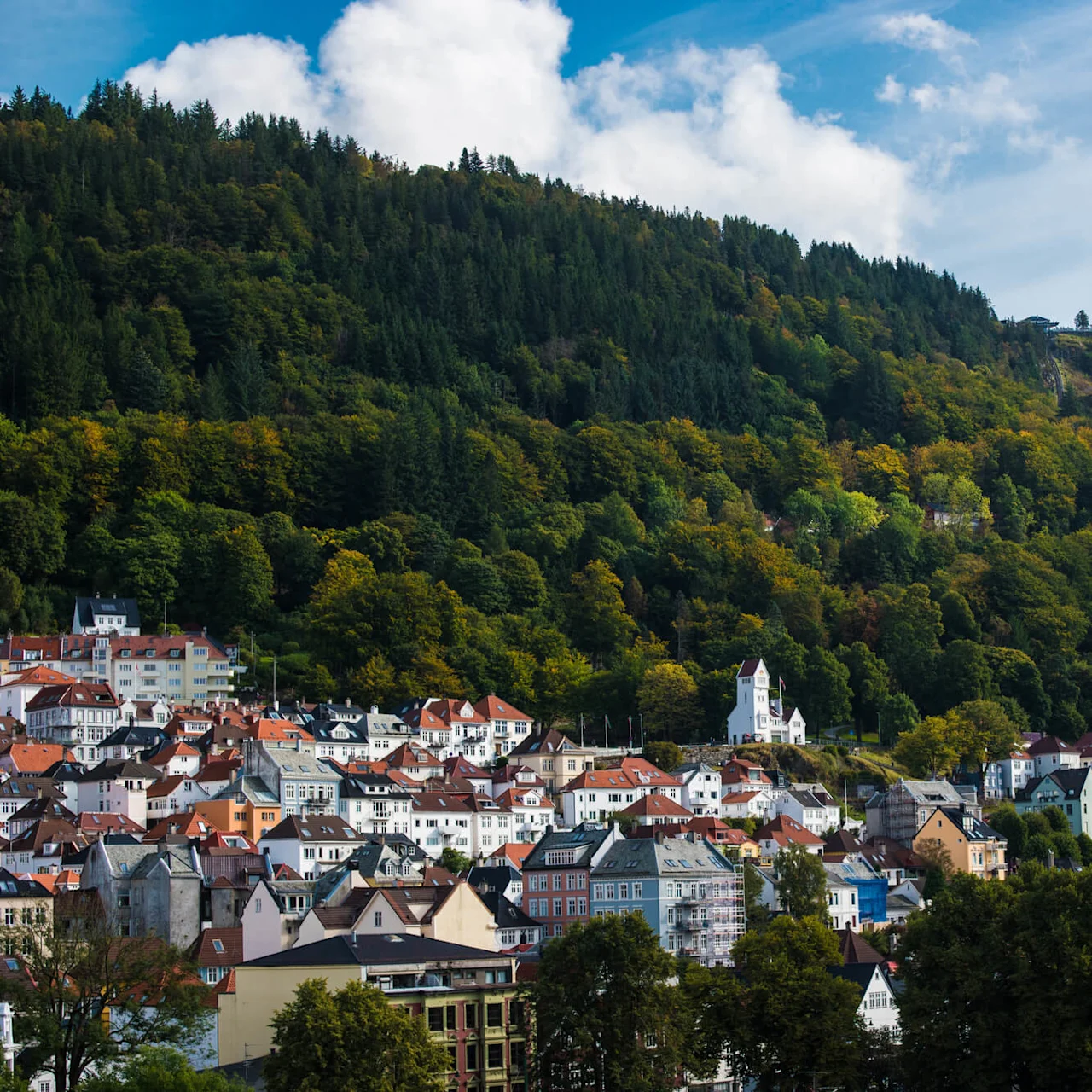Colorful houses densely packed on a hillside, with a forest above and wispy clouds in the sky.