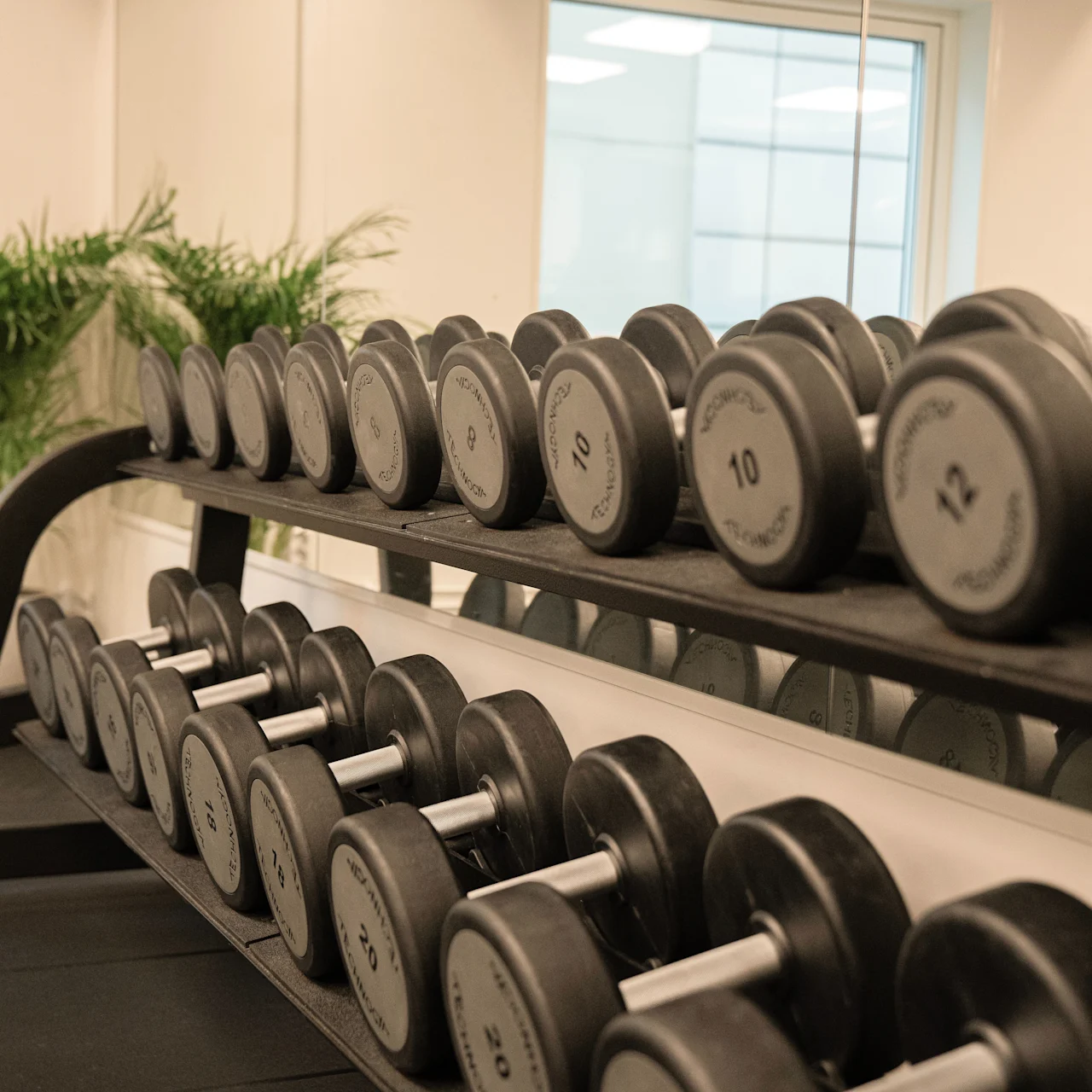 Håndvægte ligger på et to-lags stativ, organiseret efter vægt fra 2 til 20 kg, i et velbelyst hjørne af gymnastiksalen med planter og træningsudstyr.